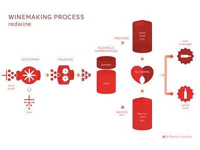 Winemaking process (red wine) diagram graphic design process schematic wine