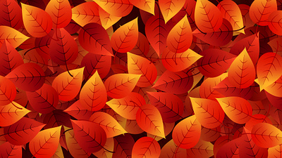 Autumn Leaves autumn background design illustration leaves vector wallpaper