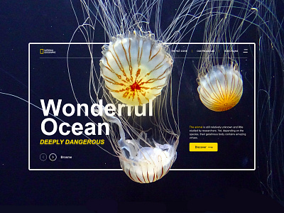 National Geographic - Concept concept design designer landing page ui uidesign ux webdesign website concept