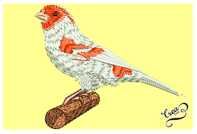 sdawad1 design