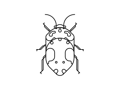 Coleoptera Beetles beetle design icon illustration oksal yesilok poster poster design vector