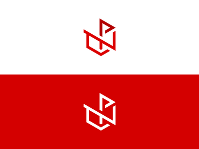 N+P Cube | Work in Progress 3d branding cube dimension dimensional dimensional logo flat design flat logo geometric isometric logo logo logo deign logomark minimal modern simple