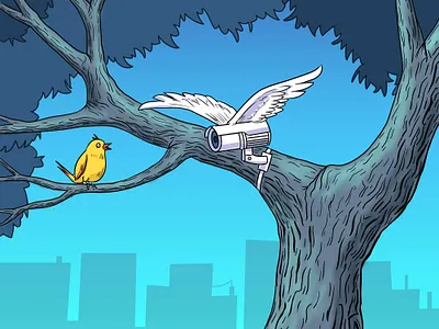 new bird animation bird cartoon cartoon character character design illustraion