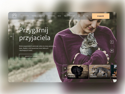 Animal shelter website concept animal animals company concept design shelter typography ui ux web web design webdesign