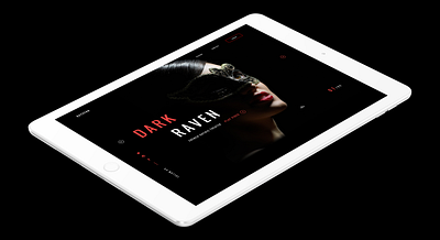 Rayvern Raven Ipad app black colorfull design flat interface ui ux web webdesign