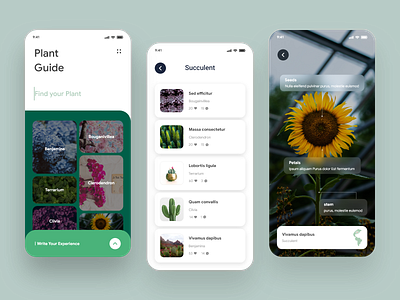 PLANT GUIDE APP app color cta button design florist flower hamburger menu plant serach social media ui uidesign uiux ux uxdesign