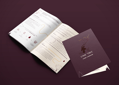 Leaflet branding brochure design design illustration