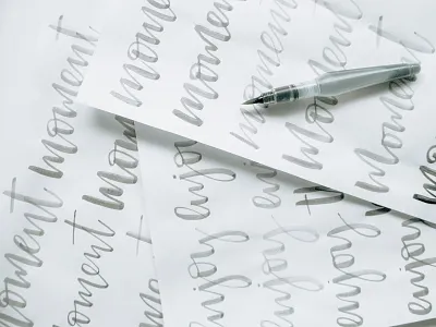 Brush lettering brush brush lettering brushpen brushscript calligraphy hand drawn handlettering script typogaphy