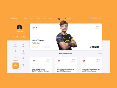 Cybersort portal / profile clean csgo design dota2 faze navi personal area product design profile profile page simple statistic ui ux web