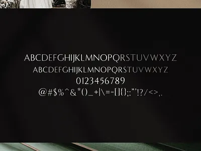 Caprio - Elegant Typeface art deco display elegant elegant fonts elegant typeface font design fonts collection lettering fonts logo fonts minimal modern modern fonts sans serif sans serif fonts serif serif font serif fonts serif typeface typeface wedding