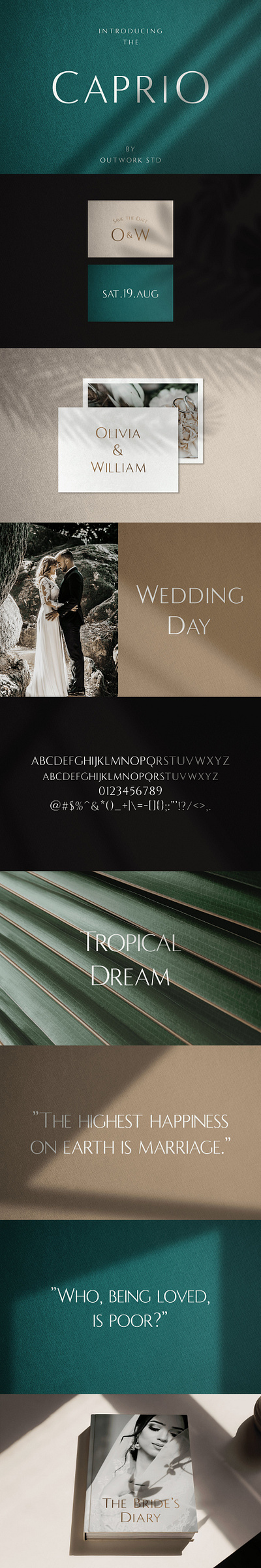 Caprio - Elegant Typeface art deco display elegant elegant fonts elegant typeface font design fonts collection lettering fonts logo fonts minimal modern modern fonts sans serif sans serif fonts serif serif font serif fonts serif typeface typeface wedding