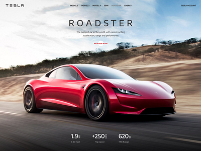 Tesla Landing Page clean clean design clean ui dailyui design minimal modern modern design ui ux web web app web design webdesign website website concept website design websites