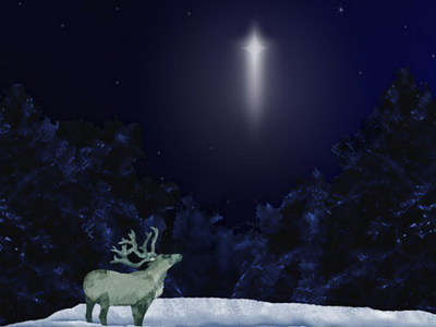 Winter card christmas deer winter