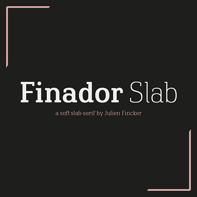 Finador Slab Font Family branding design editorial font graphic graphicdesign logo typedesign typeface typography