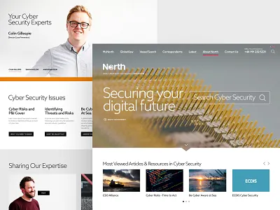 North corporate desktop expertise insurance search ui ux web website
