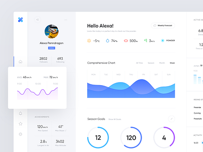 Snowboarding Stats Dashboard account activity activity tracker analytics app chart clean dashboad data goals interface minimal platform product design sports stats ui ux visualization web