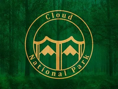 CloudNP branding design logo