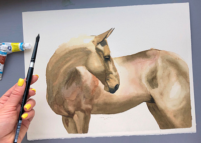 Watercolor Akhal-Teke animal debut hand drawn handmade hello dribbble hello dribble horse illustration nature watercolor watercolor art watercolour