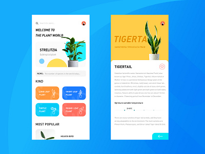 Daily practice of plants APP app app design plants plants app practice ui ui ux uidesign ux