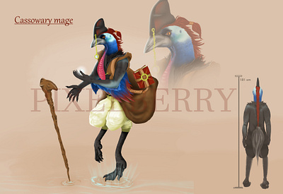 Cassowary mage bird book character character design characterdesign design feather illustration