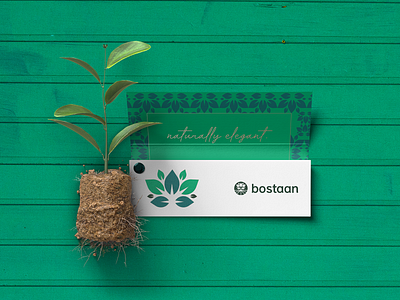 Bostaan Brand Identity Design brand brand identity branding decor design graphic design graphics green identity leaves logo logo design trees