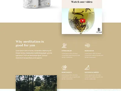 J R Stodt art creative css design esolz esolzwebdesign graphicdesign html illustration professional ui uidesign webdesign webdesigner wordpress