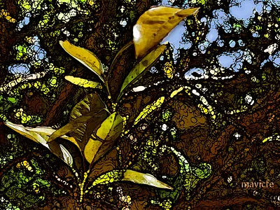 Colorful Garden Project 9 abstract color colorful composition design digital art digital painting garden graphic art graphic design illustration leaves mavicfe nature painting photography photoshop photoshop art