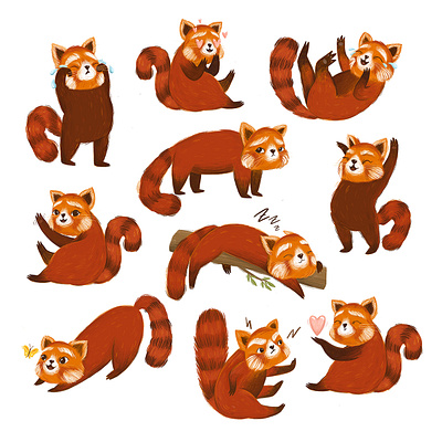 Red panda animals book book illustration child childrens childrens book cute animal cute art design illustration kid red panda stickers