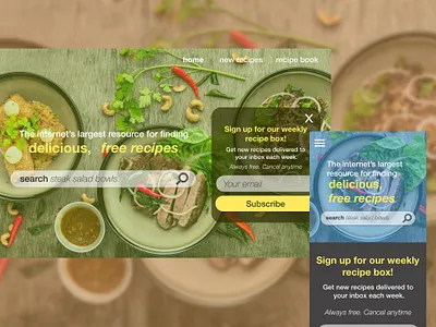 Daily UI #016 - Popup/ Overlay dailyui ui web design