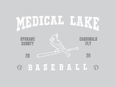 Medical Lake Bsbl baseball cardinal cardinals high school illustration medical lake spokane sports type washington