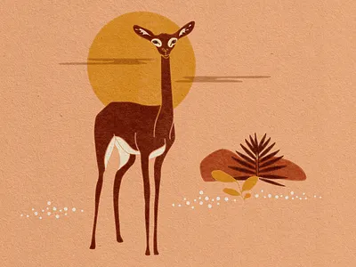 Gerenuk animal illustration design flat design illustration illustration design illustrator minimalism vector art