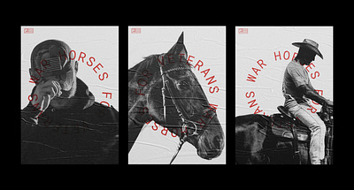 War Horses For Veterans branding brochure environment horse horses identity layout layoutdesign photoshop poster poster design print print design texture typography