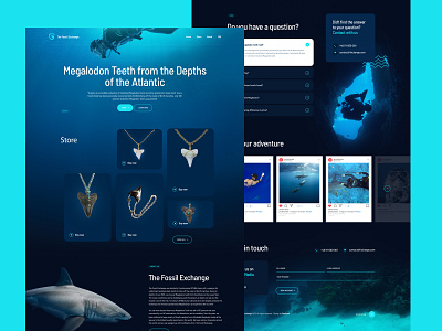 Fossil Exchange Website Design - Megalodon Shark Teeth brand branding design fossil icon logo marketing megalodon shark shark tank shark teeth shark tooth teeth ui ux web web design website wordpress