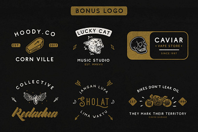 Bonus Logo - Comodo Font Family branding creative design illustration logo vector