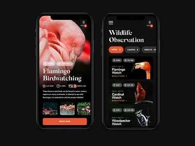 Birdwatching App app app design apple birds clean design ios minimal product design tickets ui ux web