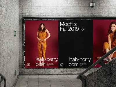 Leah Perry branding design illustration logo mockup photo photographer poster poster design typography vector