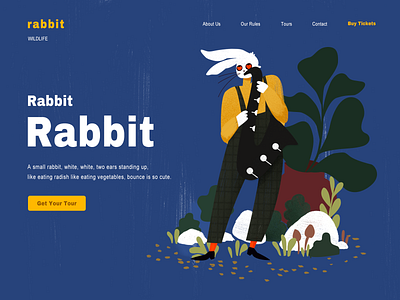 Rabbit blue， color， design dream， illustrations， leaves， music， rabbit， stone， ui