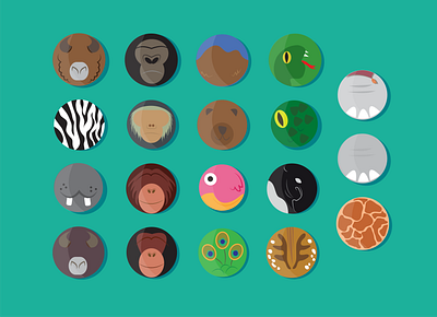 Zoo Animals 2d illustration animals design digital illustration flat design flat icon flat illustration flat vector flatlay icon design iconography illustration vector art vector illustration