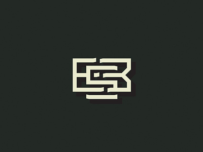 ESB 3d blackandwhite geometric lettering logo monogram monogram logo