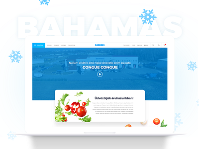 Bahamas redesign blue clean food frost modern redesign ui ux webdesign webshop website