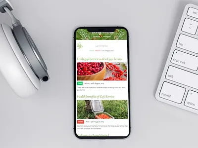 Blog Website for Goji Berry - Responsive Mode adobe illustrator adobe photoshop berries blog food goji goji berries health logo design news pharmacy pixel perfect ui ux