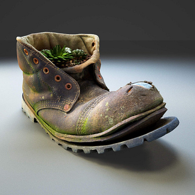 Old Boot with Plants 3D Model 3d 3d art 3d artist backyard boot borwn cactus coal house leather mine old plant raw realityscanning renderhub scan shoes soil vegatation