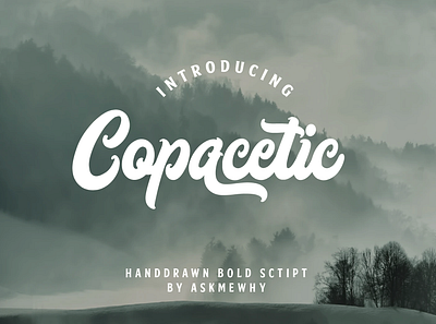 Copacetic Bold Script bold font branding font font awesome font design font script handdrawn handmade layered font logotype retro font vintage font