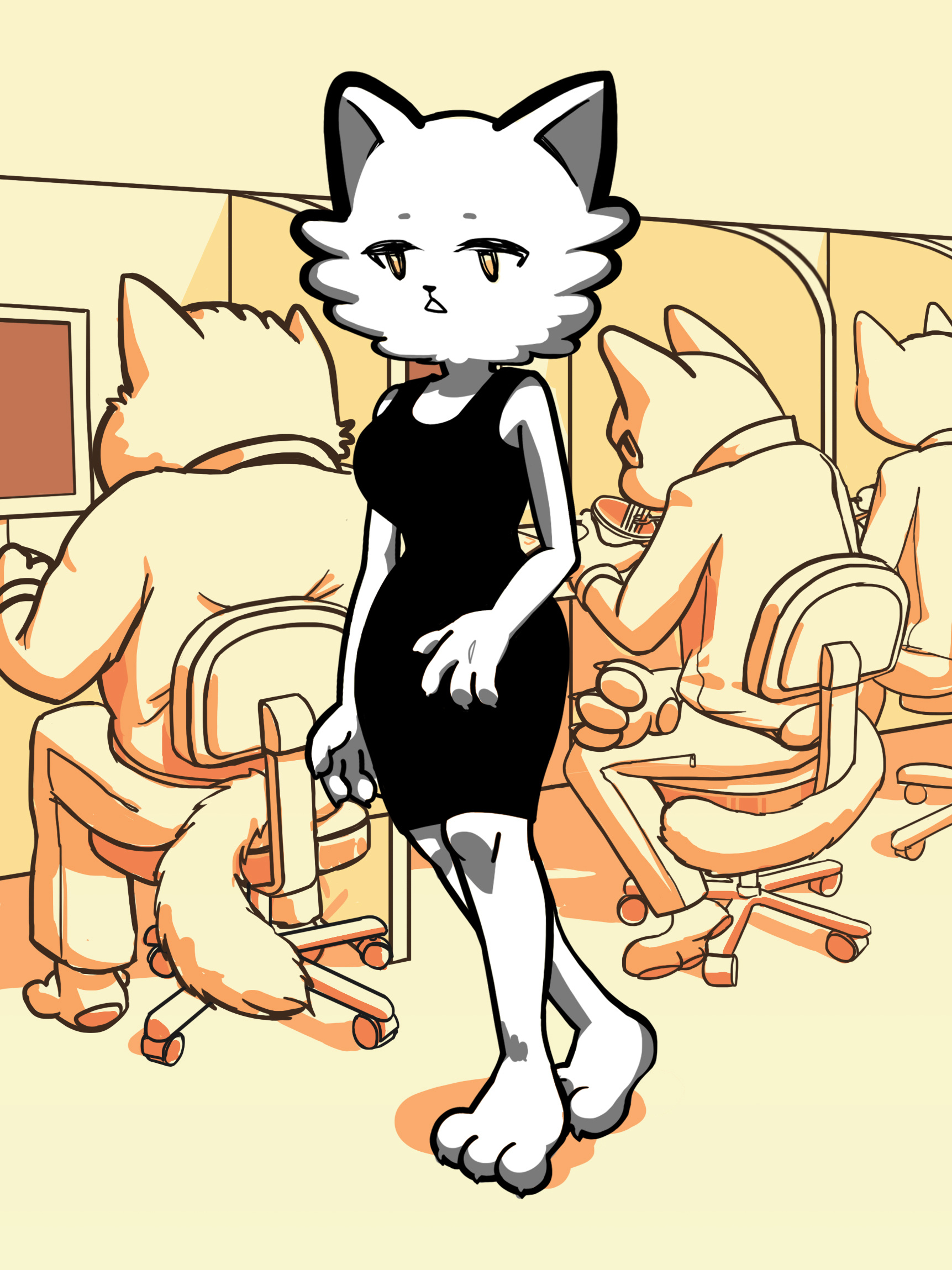 Example of office cats!