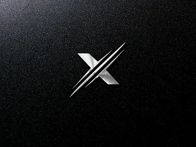 x1