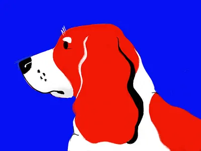 Otis the English Spaniel blue chalk color dog illustration line organic procreate red simple trend