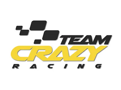 Team Crazy Branding Concept branding graphic design identity logos vector art