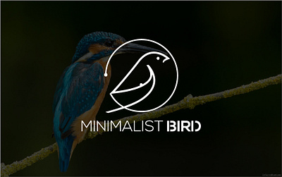 bird logo flat logo logo logo design minimal minimalist logo modern logo vector