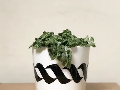 Hand-painted Plant Pot blackletter calligrafia calligraphy calligraphy design ceramics gifts graphic design handmade handpainted plant pots pots