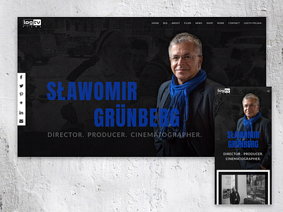 LogTV branding web design web design and development wordpress